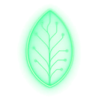 Seed tier